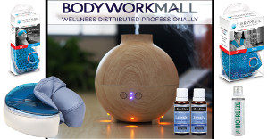 bodyworkmall promo