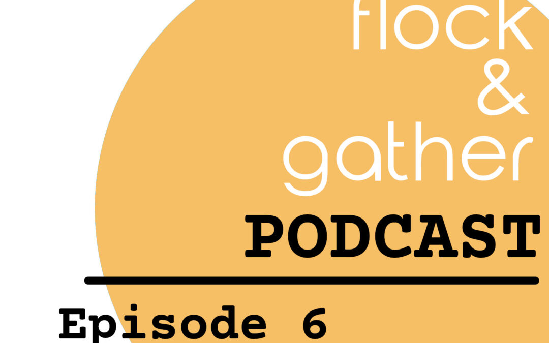Retail, retail, retail!  New Flock and Gather is up with guest Patti Biro!