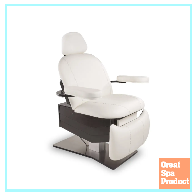 Tribeca™ All-in-One Medi-Spa Chair from Living Earth Crafts