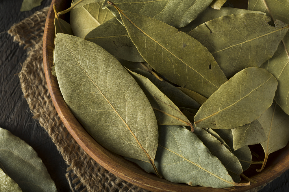 Raw Organic Dry Bay Leaves in a Bowl
