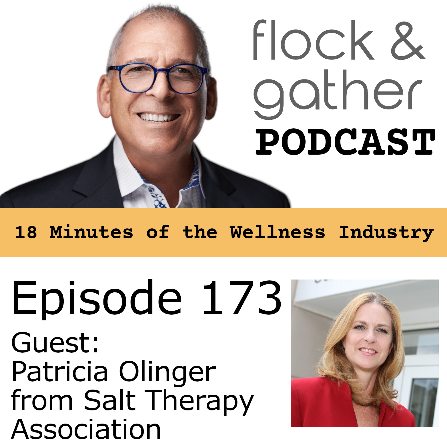 Flock and Gather Podcast.  Episode 173 with Patricia Olinger from the Salt Therapy Association